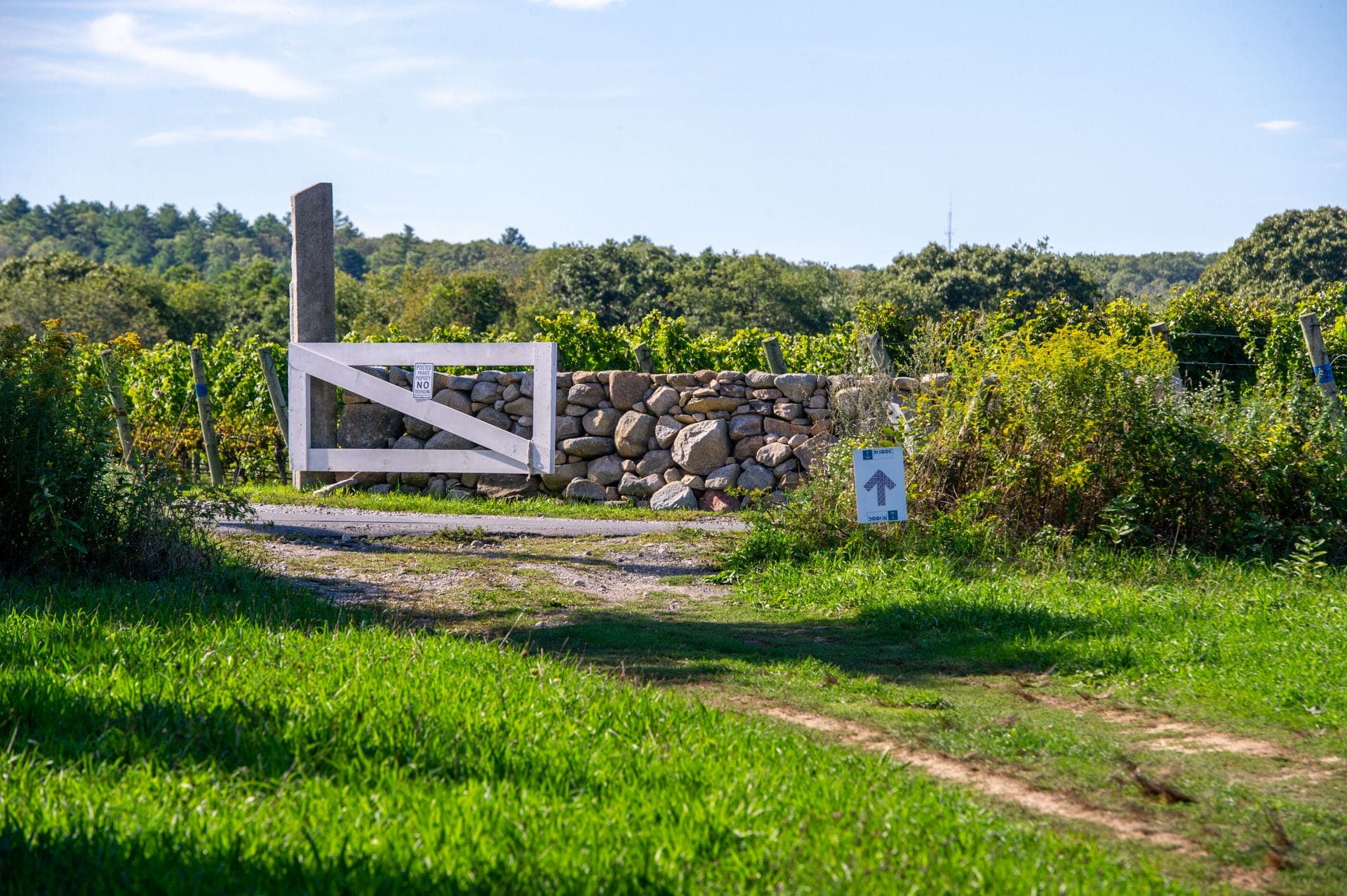 arrows in vineyard