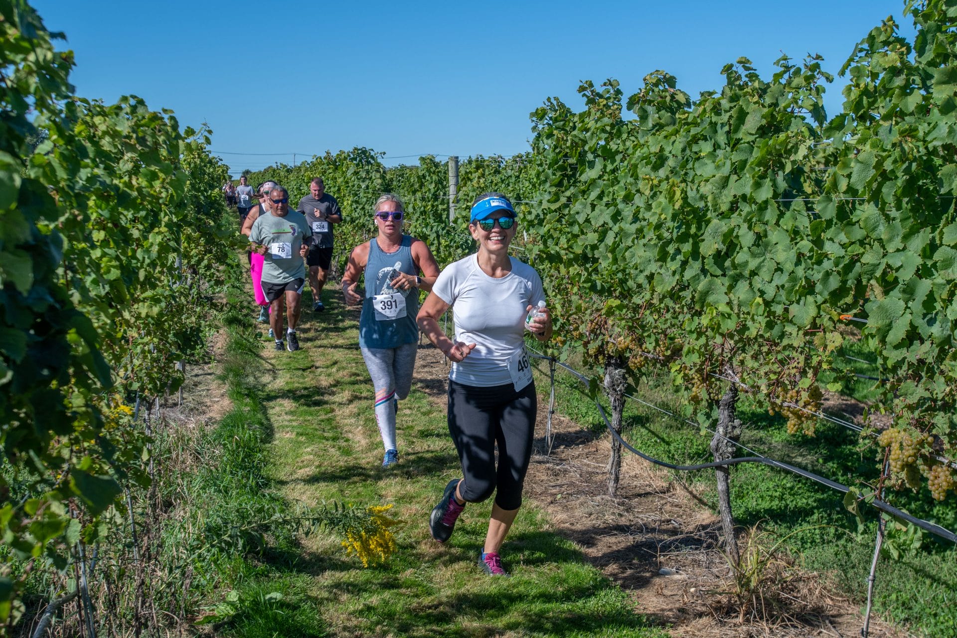 our visor in vines