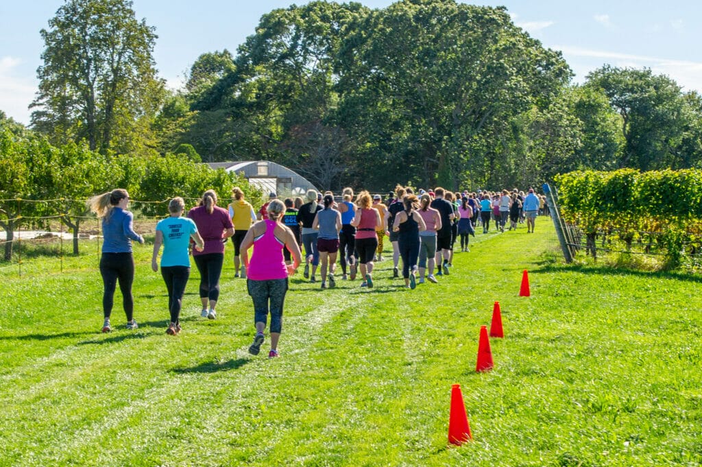 vineyard race